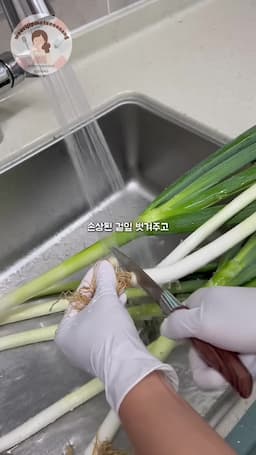 대파 손질하기
