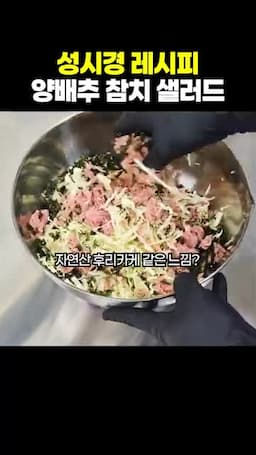 샐러드의 맛과 조리 비법