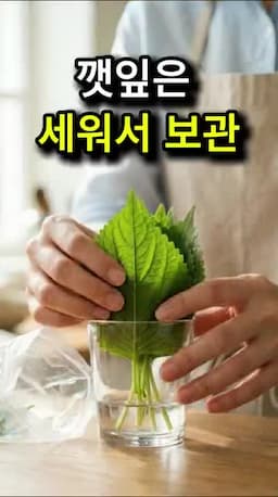깻잎을 오래 싱싱하게 두는 보관법