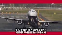 비행기 무게와 색상의 관계