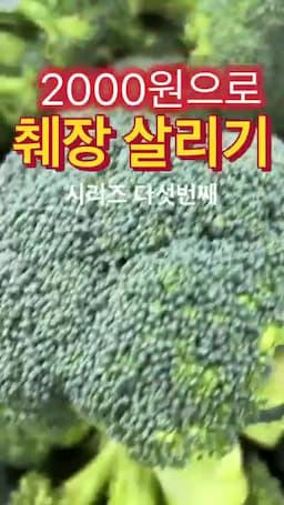 빠른 체크리스트 영상 정보를 확인할 때 우선 검토할 항목