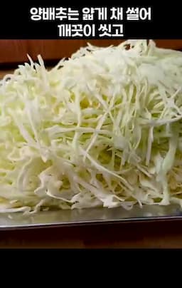 양배추 손질과 기본 준비