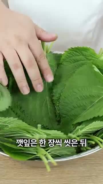 깻잎김치 황금레시피: 간이 쏙 배는 양념장과 먹기 편한 담는 법