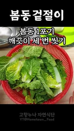 Intro-봄동 겉절이 소개