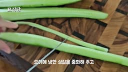 간편하게 만드는 오이 요리의 장점