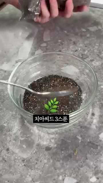 치아시드 푸딩 레시피: 요거트와 코코넛 밀크로 만드는 아침 디저트