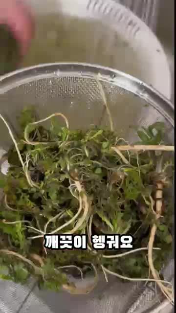 냉이된장국 초간단 레시피 — 무와 디포리 육수로 시원하고 구수하게