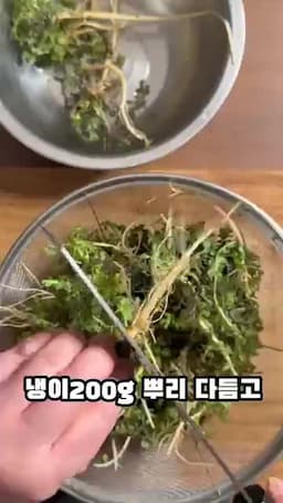 냉이 손질법 뿌리 다듬기와 세척 요령