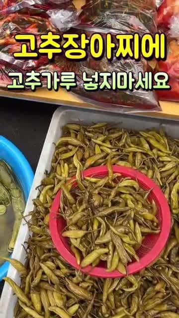 고추장아찌 만들기 꿀팁 - 고춧가루는 넣지 마세요