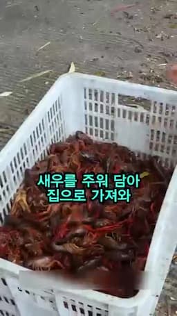 새우를 함께 주워 담아 집으로 가는 흐름