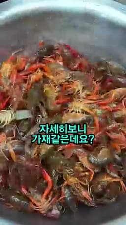 물에 끓이고 마늘을 더해 익히는 조리 장면