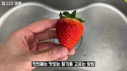 딸기 고르는 꿀팁