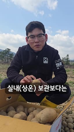 냉장고에서의 저장감자 보관법