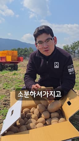 올바른 채소 보관 방법