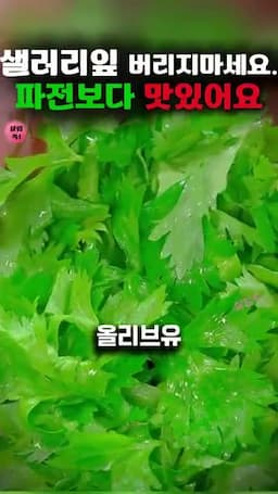 부침개의 비법 재료 소개