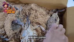 신선한 꽃게 준비하기