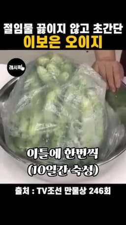 이틀에 한 번 뒤집는 관리법