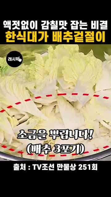 액젓 없이 만드는 배추겉절이 레시피 | 새우가루로 살리는 감칠맛