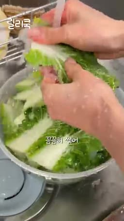 봄동 손질하기