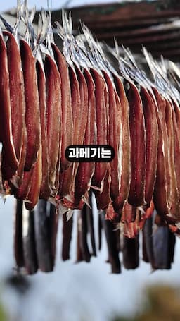 과메기의 영양과 효능